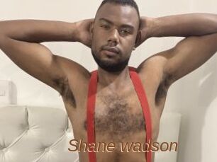 Shane_wadson