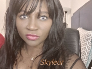 Skyleur