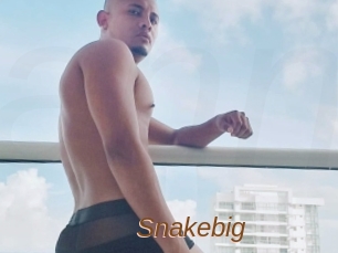 Snakebig