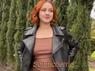 Sophicherrie