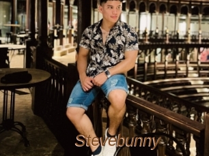 Stevebunny