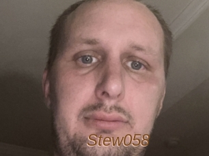 Stew058