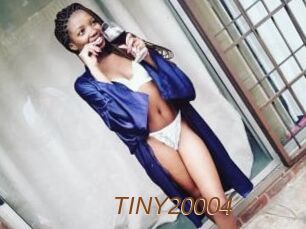 TINY20004