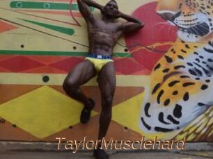 TaylorMusclehard
