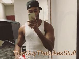 ThatGuyThatLikesStuff