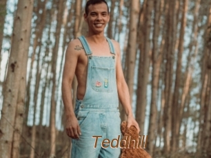 Teddhill