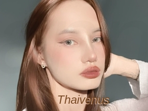 Thaivenus