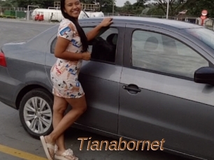 Tianabornet