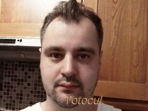 Totocul