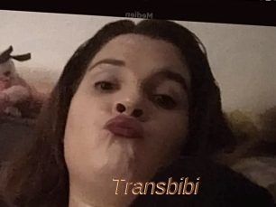 Transbibi