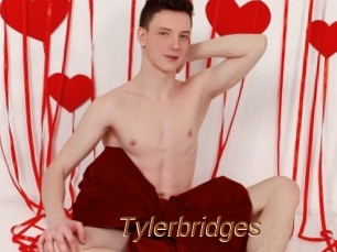 Tylerbridges