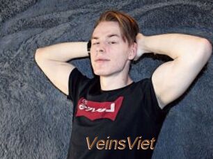 VeinsViet