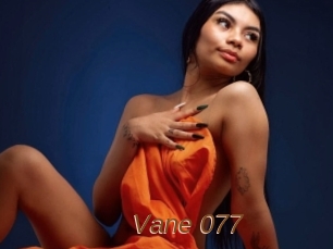 Vane_077