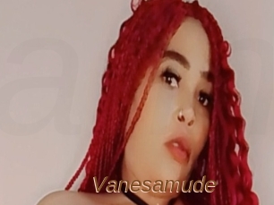 Vanesamude