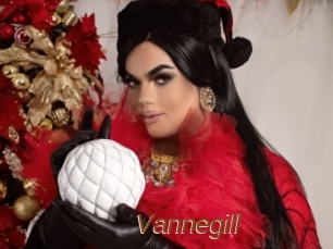 Vannegill