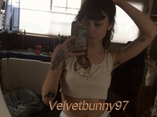 Velvetbunny97