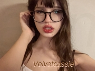 Velvetcassie