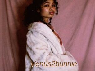 Venus2bunnie