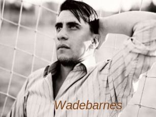 Wadebarnes