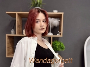 Wandagorbett