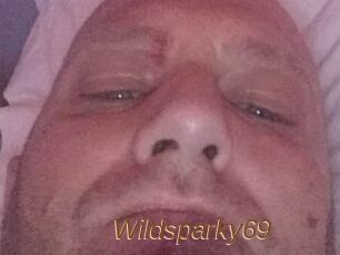 wildsparky69 Annuaire Sexe