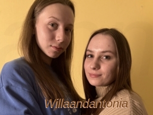 Willaandantonia