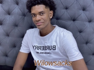 Wilowsacks