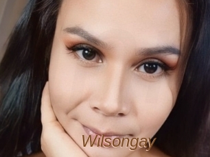 Wilsongay