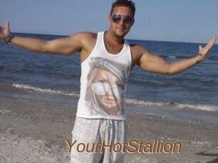 YourHotStallion