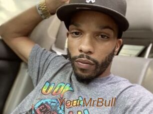 YourMrBull