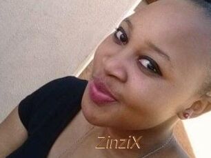 ZinziX