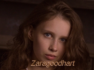 Zaragoodhart